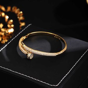 Designer Vite Bracciale rigido Chiodi Amore Moda Gioielli di lusso Carer Originale Trendy Oro 18 carati Diamante per donna Uomo Bracciali per unghie Bracciale gioielli in argento CNSA