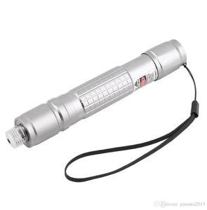 Neue Ankunft Professionelle Wasserdicht Grün Licht Laserpointer Silber Schwarz Körper Laser als SD 303 Laser Sichtbaren Strahl whol1363530