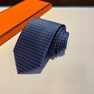 Luxury Ties Good Quality Ties Mens Designer Slitte Handgjorda stickade Silks Tie Business Cravat Neck Ties Brand Box Gift