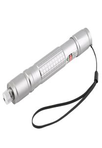 Neue Ankunft Professionelle Wasserdicht Grün Licht Laserpointer Silber Schwarz Körper Laser als SD 303 Laser Sichtbaren Strahl whol5559640