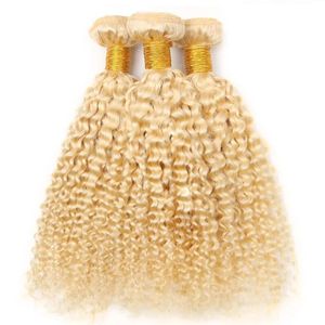 Tece pacotes de cabelo humano 613 cabelo encaracolado tecer dupla trama brasileira virgem kinky encaracolado tecer 1226 polegada tomada de fábrica preço de atacado