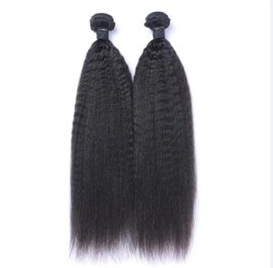 Tressen, malaysisches reines Echthaar, verworrenes glattes, unverarbeitetes Remy-Haar, doppelte Tressen, 100 g/Bündel, 2 Bündel/Lot, kann gebleicht gefärbt werden