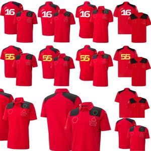 F1 Team Racing T-Shirt Formula 1 Sürücü Polo Gömlekleri T-Shirts Resmi Erkek Boyut Tişörtleri Jersey Yeni Sezon Yarış Giyim Hayranları Tops