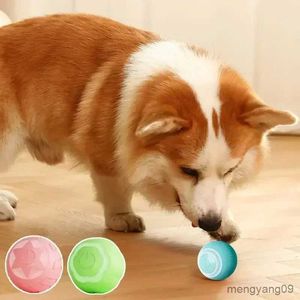 Dog Toys tuggar Electric Dog Toys Ball Automatisk Rolling Ball Interactive Puppy Training Toy Self-Moving Dog Ball Smart Cat Toys Dog Accessories