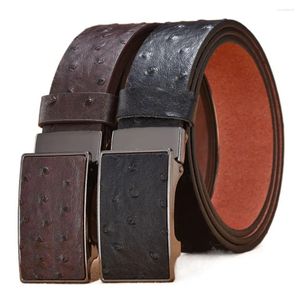 Cintos Avestruz Grão PU Cinto De Couro Original Designt Luxo Preto Coff Ceinture Homme Desdentado Fivela Automática