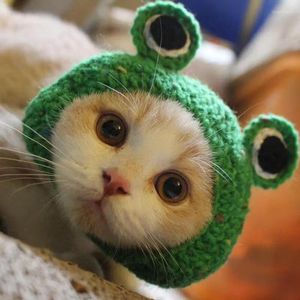 Dog Apparel 1PC S/M Frog Pet Headdress For Dogs And Cats - Hand Knitted Wool Cute Style Transform Costume Prop