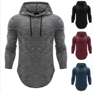 Men's Hoodies 2024 Sports Leisure Fashion Slim Fit Hooded Long Sleeve Thin T-shirt