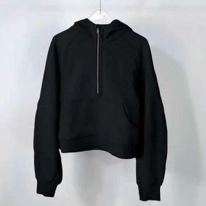 Scuba Yarım Zip Hoodie Kadın Yoga Takım Tasarımcısı Yoga Ceket Hizalama Yoga Taytlar Yüksek Bel Spor Pantolon Nefes Alabbe Egzersiz Salonu Taç Peşin Yoga Tren Şortları TT33