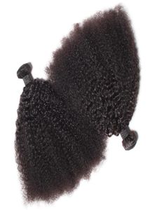 Brasilianisches Echthaar, unbehandeltes Afro-Haar, verworrene lockige Wellen, unverarbeitetes Remy-Haar, doppelte Tressen, 100 g, Bündel 2 Bündel, kann gefärbt werden Bl4930363