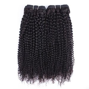 Hair Wefts Natural Color Afro Kinky Curly Human Bundles Double Weft 2/3Pc Remy Indian Weaving 10-26 Inch No Shedding 90-95G/Pc Drop Dheaf