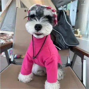 Vestuário de cão roupas quentes dejung veludo alto colarinho teddy frise pomeranian schnauzer pequenos cães pet engrossado outono inverno camisola