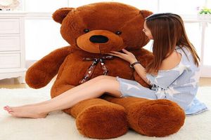 160 cm 180 cm 200 cm Riesiger Teddybär Plüschtiere Kinder große Stofftiere Kinder Babypuppen für Frauen Mädchen weiche Plüschtiere6761638