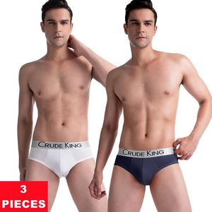 3Pcs Fashion Men's Thong Letter Print Underpants Man Underwear Breathable Panties 3D Pouch Shorts Male Briefs Seamless Lingerie 240105
