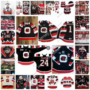 Hockey Jerseys Hockey Jerseys Custom OHL Ottawa 67's Stitched Hockey Jersey 19 Jack Beck 10 Cam Tolnai 20 Luca Pinelli 17 Brady Stonehouse 2