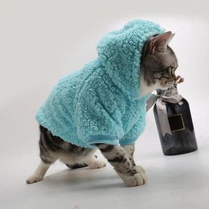 Hundkläder Stylish Pet Hoodie Two-ben mysig plyschfleece för väder mjuk bekväm tröja med vinter