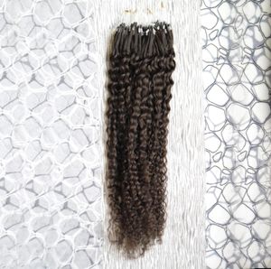 Human Hair Extensions Kinky Curly Micro Loop Pierścień Pierścień Hair Extensions 100G 1GS 100s Remy Micro Bead Hair Extensions Darkest Brown2491486