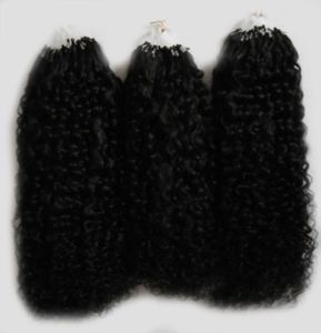 Afro Kinky Curly Hair Micro Loop Human Hair Extensions 300G 1GS 300S Natural Micro Link Hair Extensions Human9037108