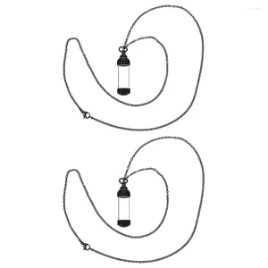 Anhänger Halsketten 2 Stück Haustier Asche Halskette mit Bedeutung Edelstahl Erinnerungsgeschenke