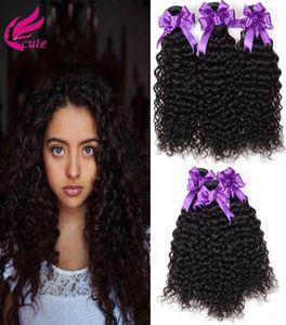 Brazylijska Kinky Curly Kurly Human Hair Weave 3 Ratia 8A Nieprocentowane głębokie przedłużanie włosów, naturalne czarne, można farbować 2892379