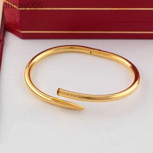 Luxury Mens Braclets Classic Nail Bracelet Gold Jewelry Woman Armband 18k Rose Diamond Silver Fashion Cuff Bangle Jewellery Wedding Birthday Gift Wholesale P4V1
