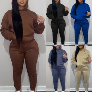 Womens Sweatsuits 2 Piece Set Fall/Winter Loose Sweat Sets Comfy Hoodie Sweatshirt Drawstring Cuffed Sweatpants 240106