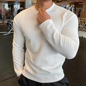 Men's T Shirts 2024 Spring Autumn Casual T-Shirt Men Long Sleeves Solid Shirt Fitness Bodybuilding Tees Tops Male Fashion Slim Stripes