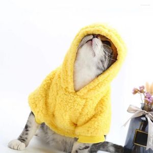 Hundebekleidung, atmungsaktiver Kapuzenpullover, gemütlicher Plüsch-Fleece-Haustier-Hoodie für wetterfestes, weiches, bequemes Sweatshirt mit zwei Beinen im Winter