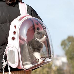 Kedi Taşıyıcıları Nefes Alabilir Açık Yürüyüş Yürüyüş Sırt Çantası Küçük Köpek Uzay Pet Torbaları Taşımacılığı