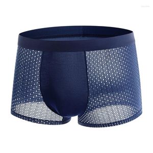 Underpants Men's Boxers Shorts Mesh Underwear Cueca Transparent Ice Silk Panties For Man Solid U Convex Pouch Large Size L-5XL