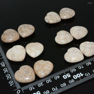 Pedras preciosas soltas coral fossilizado natural, contas de coração meio perfuradas 20mm-25mm preço para 1 par