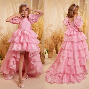 소녀 드레스 핑크 하이 로우 2024 웨딩 층을위한 오간자 어린이 공주님 대회 베이비 생일 가운