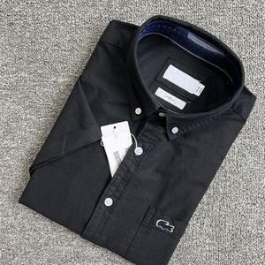 Poloshirts für Herren, Jugend, langärmeliges Krokodilhemd, Frühlings- und Herbstkleidung, Business und Freizeit, Oxford Spinning, Herren-Hemdoberteil Paul aus reiner Baumwolle von Laurenss