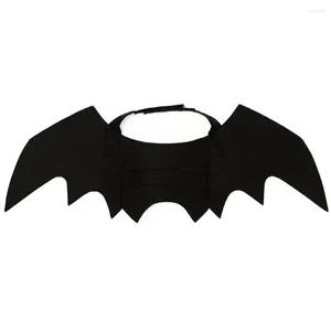 Cat Costumes Bats Wing Design Costume Costume