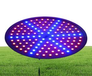 최신 수경식 조명 램프 110V 220V 15W E27 Red Blue 126 LED Hydroponic LED Plant Grow 조명 LED 전구 LIGHT6003686