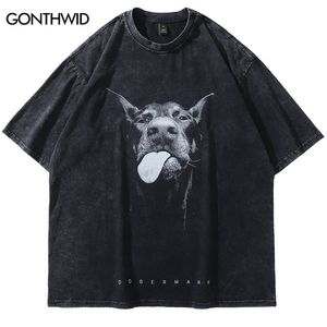 メンストリートウェアヒップホップ特大のTシャツ面白いドーバーマンドッググラフィックTシャツヴィンテージウォッシュブラックTシャツharajukuティーコットン240106