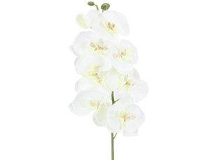 10 pzlotto realistico farfalla artificiale fiore di orchidea seta phalaenopsis matrimonio casa decorazione fai da te fiori finti 1464 V28493797