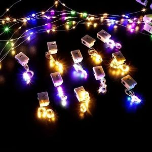 1 st, LED -ljussträng, små färgade lampor, fars dagsdekor, kopparknappbatterier, julgrandekor, populär koppartrådbelysning, utomhus, trädgårdsdekor