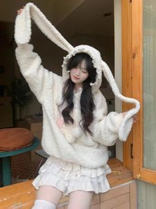 Kadın Hoodies Harajuku Gevşek Kuzu Yün Nakış Y2K Estetik Grunge Sweatshirts Kadınların üstleri Kawaii Sevimli Drawstring Pullover