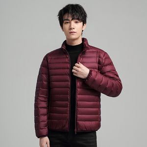 Jaqueta leve para baixo, inverno masculino fino ajuste novo estilo curto de gola alta, frio e quente, casaco de pelúcia e grosso