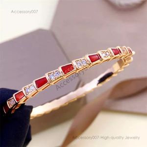 designer jewelry bracelet bangle Bracelet luxury jewelry woman 18K rose gold silver red green agate snake diamond bracelets jewelrys designers paty birthday gift