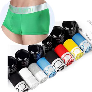 10 Teile/los Männer Unterwäsche Modal Baumwolle Boxer Männer Höschen Herren Unterwäsche Boxer Boxershorts Homme Calzoncillos Männliche Unterhose 240109