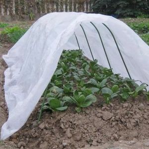 Garden Poly Tunnel Greenhouse Vegetable Fruit Plants Care Cover Metal Frame Protector Roof Panels Foil Garden Green House 240108