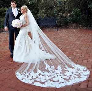Säljer 3 meter långa slöjor för brud 2020 Billiga brudtillbehör Kapelllängd Applique Tulle Wedding Bridal Veils7699876