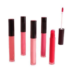 Lip Gloss 4ml Black Cover Transparent Tube Matte Velvet To Smooth Lipstick Easy And Cup Glaze Not Light Women Stick Y3z09759354