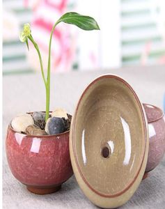 arden Planters Flower Pots Planters 50PcsLot Microlandschaft Mini Succulent Plants Flowers Vase Flowerpot Terrarium Container Min7546118