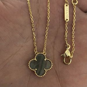 Nytt Clover Necklace Pendant Pearl Mother Rostfritt stål Pläterad 18K Womens Girl Valentines Day Mothers Day Engagement Jewelry Present Partihandel KCQS