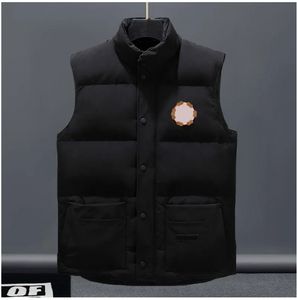 Mens Vestidos Puffer Colete Mens Coletes Casacos Designer Homens Jaqueta Parkas Manga Longa Zipper Crachás Homens Downs Casual Ao Ar Livre Casaco Espessado Colete de Alta Qualidade