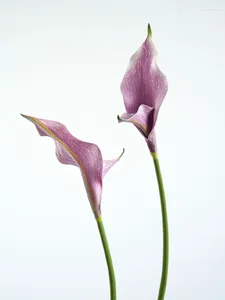 Dekoratif Çiçekler Calla Lily Pu Yapay Çiçek Çift Petal Mor Ev Dekorasyon Düğün Çiçek Düzenlemeleri Bahar