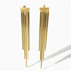 Dangle Earrings Peri'sbox 18K Gold Pvd Plated Stainless Steel Tassel For Women Herringbone Chain Long Fringe Free Tarnish