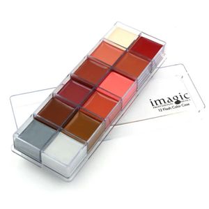 IMAGIC 12 Farben Flash Tattoo Gesicht Körperfarbe Ölgemälde Kunst Imagic Halloween Beauty Makeup Tools 240108